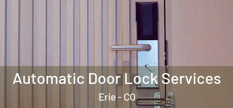 Automatic Door Lock Services Erie - CO