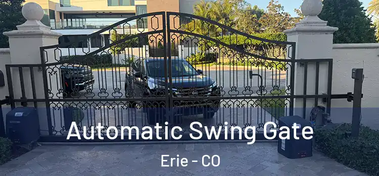 Automatic Swing Gate Erie - CO