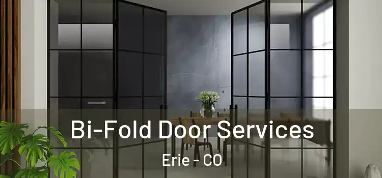 Bi-Fold Door Services Erie - CO
