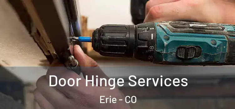 Door Hinge Services Erie - CO