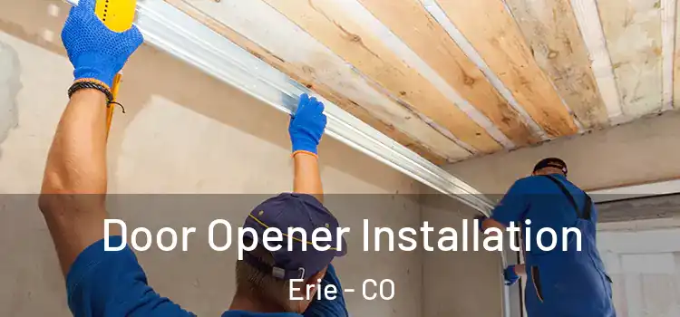  Door Opener Installation Erie - CO