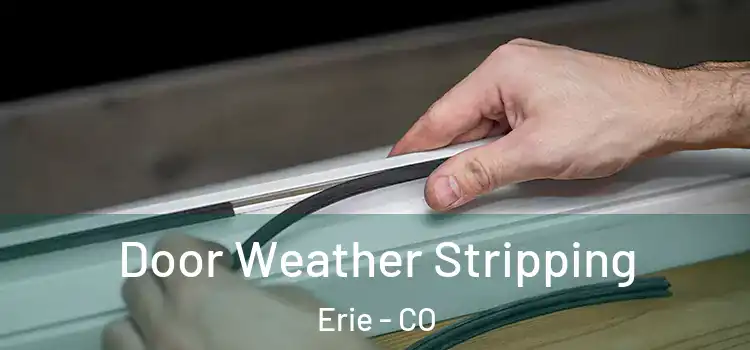 Door Weather Stripping Erie - CO