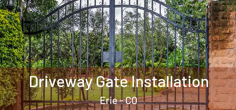 Driveway Gate Installation Erie - CO