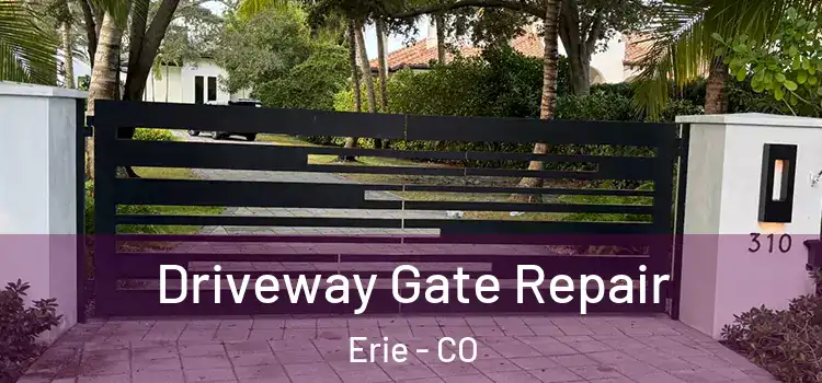 Driveway Gate Repair Erie - CO