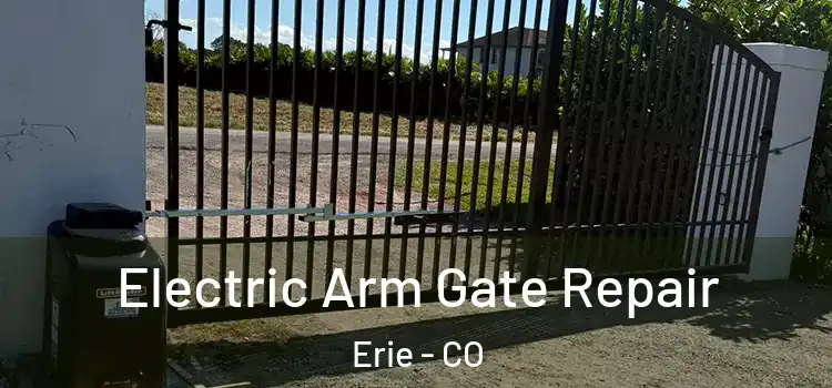 Electric Arm Gate Repair Erie - CO