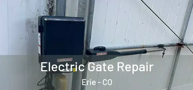 Electric Gate Repair Erie - CO