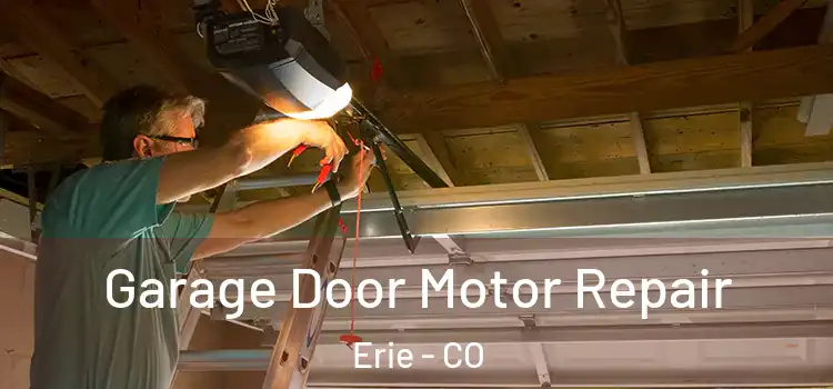  Garage Door Motor Repair Erie - CO