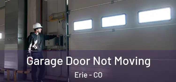  Garage Door Not Moving Erie - CO