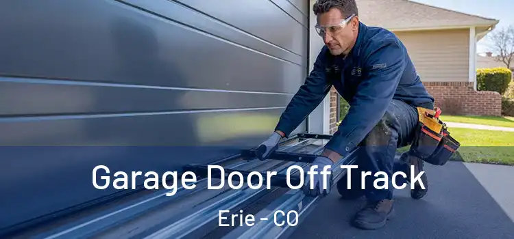  Garage Door Off Track Erie - CO