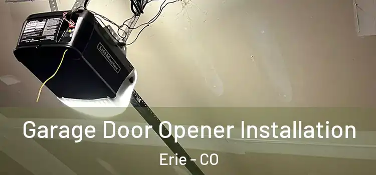  Garage Door Opener Installation Erie - CO