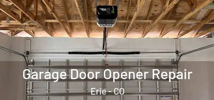  Garage Door Opener Repair Erie - CO