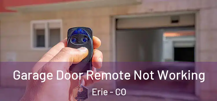  Garage Door Remote Not Working Erie - CO