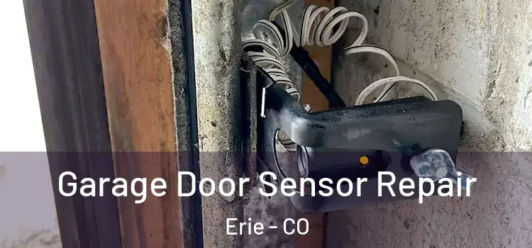 Garage Door Sensor Repair Erie - CO