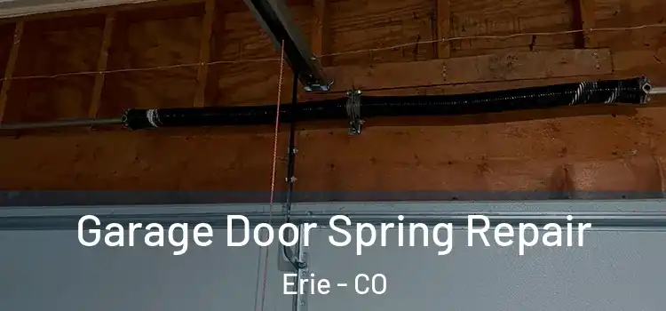  Garage Door Spring Repair Erie - CO