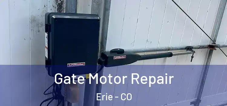 Gate Motor Repair Erie - CO