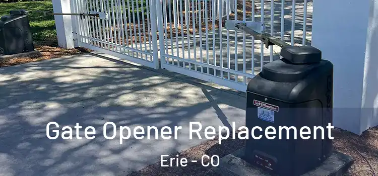 Gate Opener Replacement Erie - CO