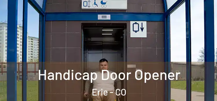 Handicap Door Opener Erie - CO