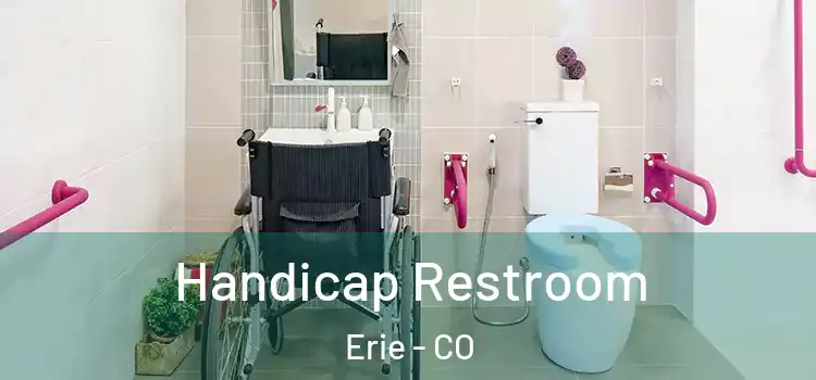  Handicap Restroom Erie - CO