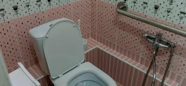 Meeting Diverse Needs With Accessible Restroom Solutions in Erie, CO