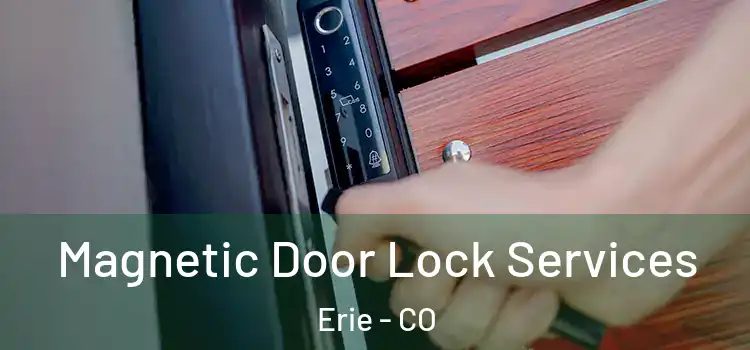 Magnetic Door Lock Services Erie - CO