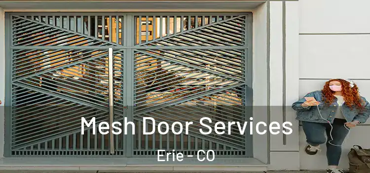 Mesh Door Services Erie - CO