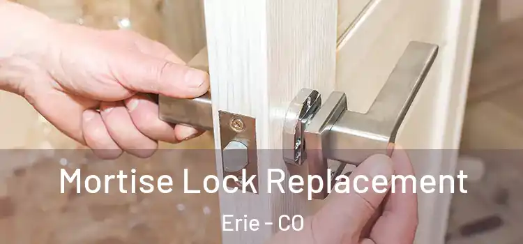 Mortise Lock Replacement Erie - CO