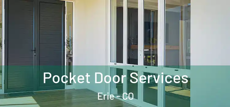Pocket Door Services Erie - CO