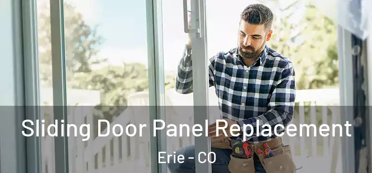  Sliding Door Panel Replacement Erie - CO